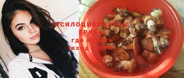 мескалин Абаза